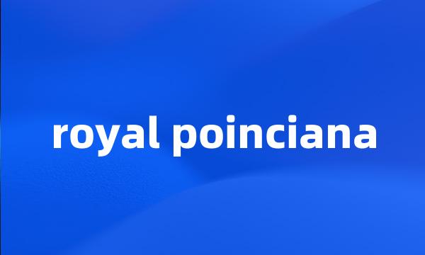 royal poinciana