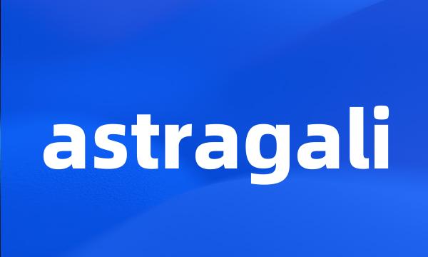 astragali