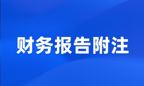 财务报告附注