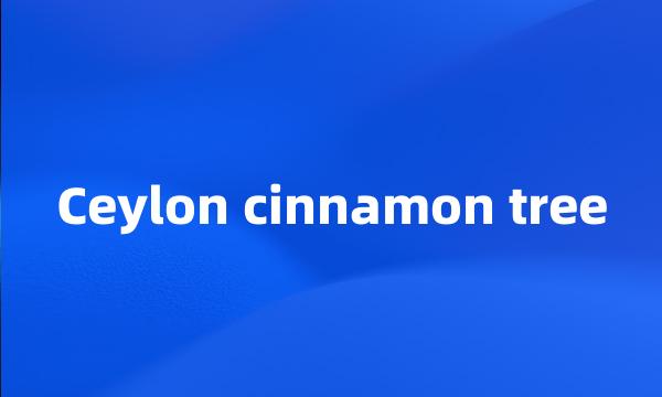 Ceylon cinnamon tree