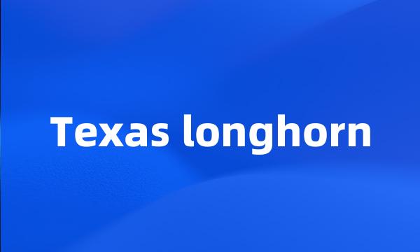 Texas longhorn