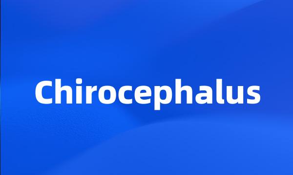 Chirocephalus