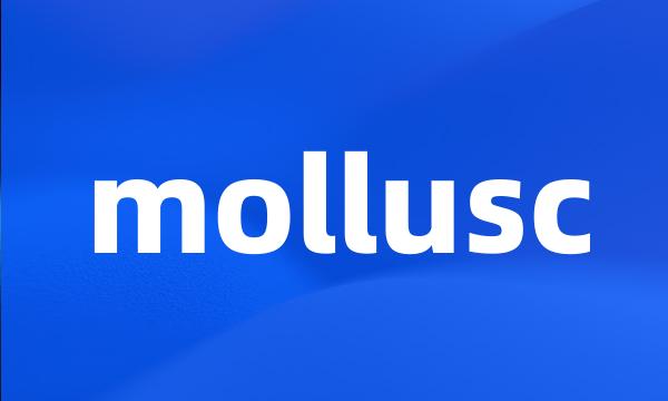 mollusc