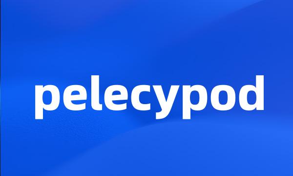 pelecypod