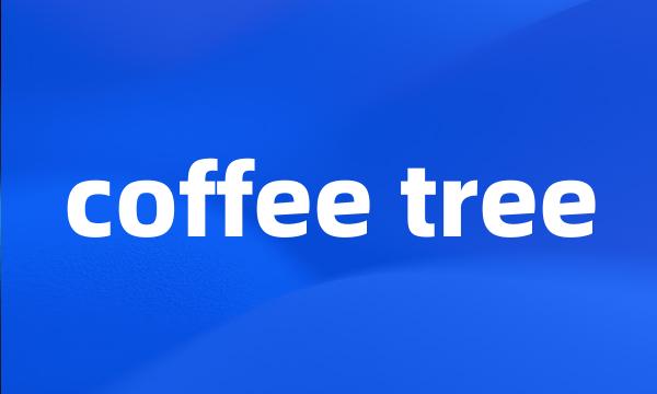 coffee tree