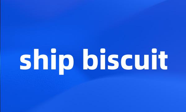 ship biscuit