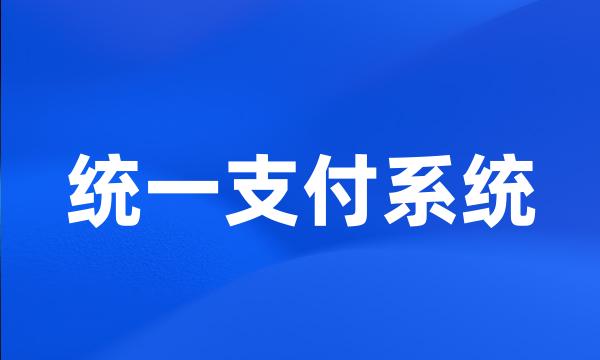 统一支付系统