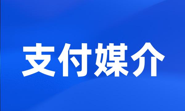 支付媒介