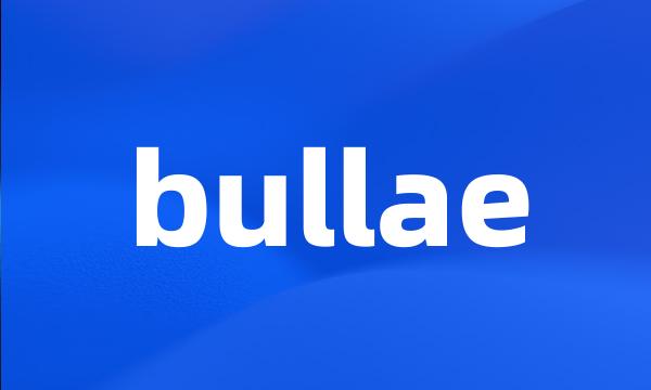 bullae