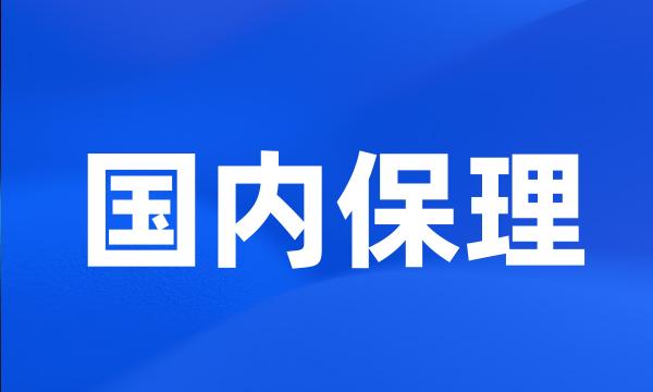 国内保理