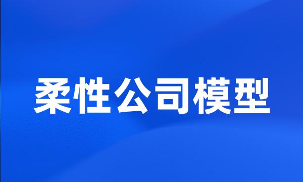 柔性公司模型