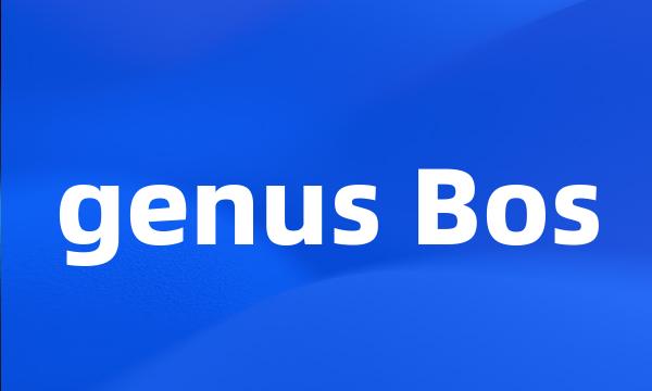 genus Bos