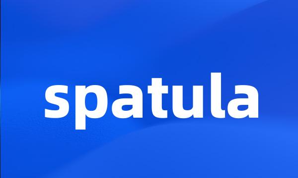 spatula