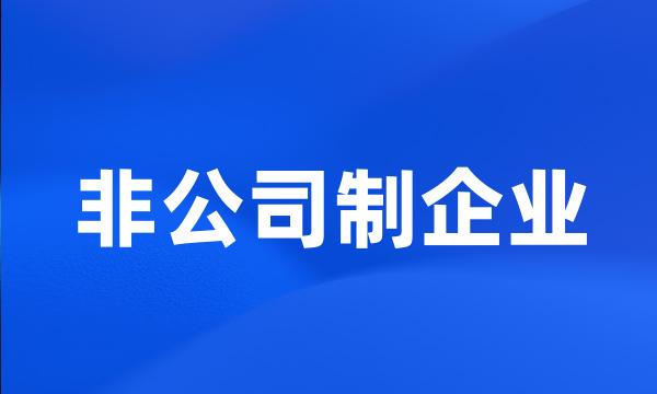 非公司制企业