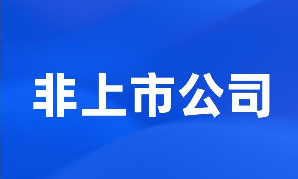 非上市公司