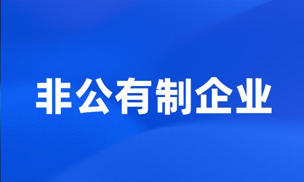 非公有制企业