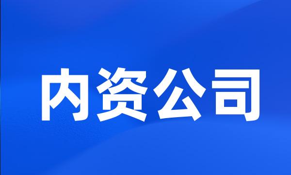 内资公司