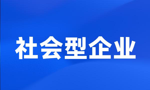 社会型企业