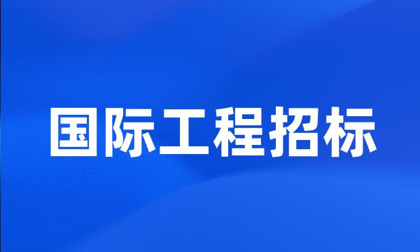 国际工程招标