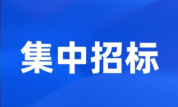 集中招标