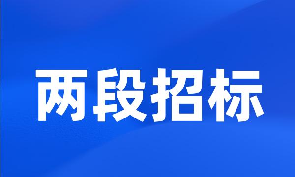 两段招标