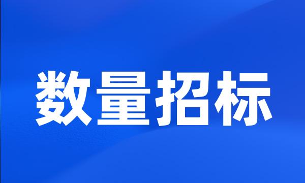 数量招标