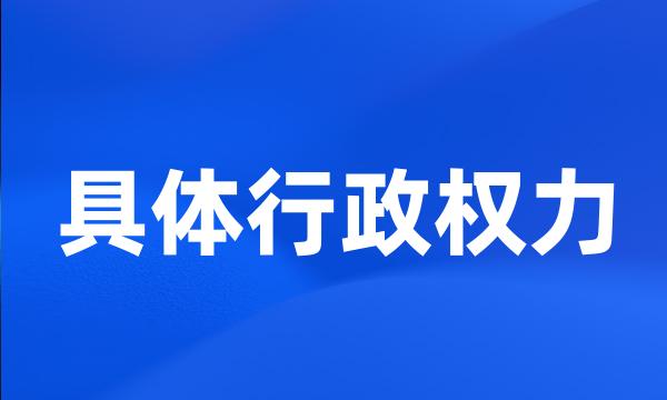 具体行政权力