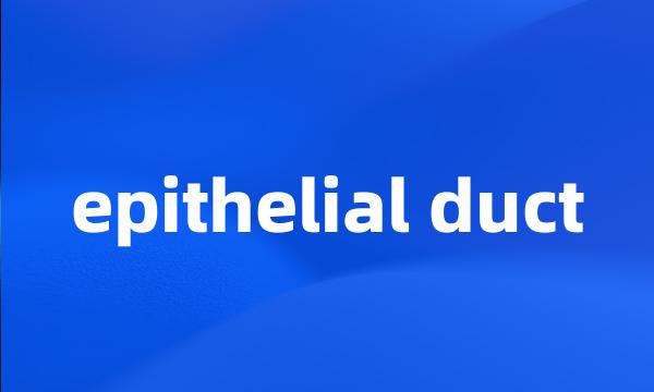 epithelial duct