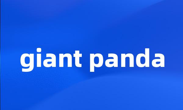 giant panda