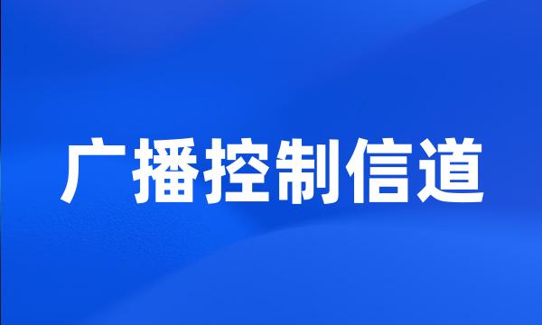 广播控制信道