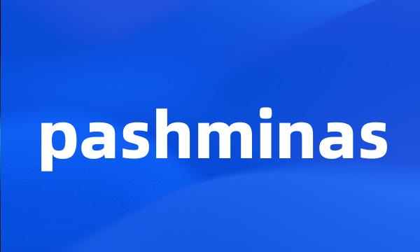 pashminas