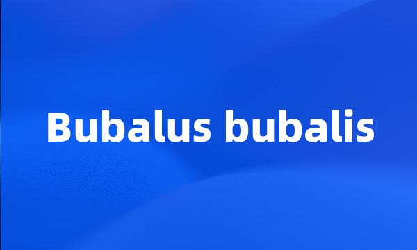 Bubalus bubalis