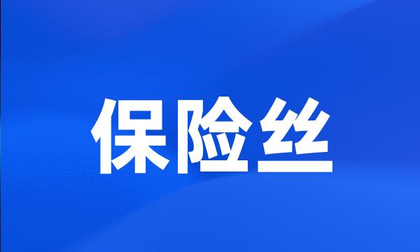 保险丝