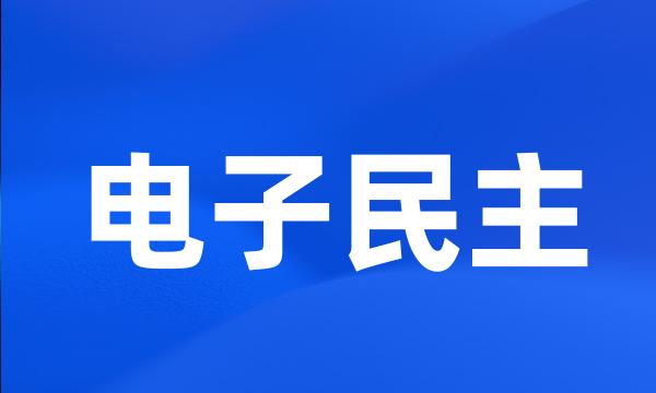 电子民主