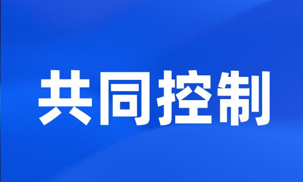 共同控制