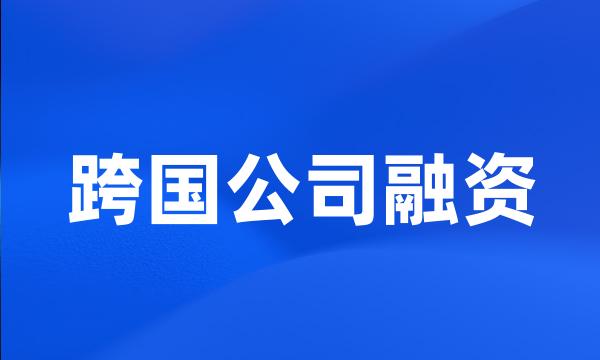 跨国公司融资