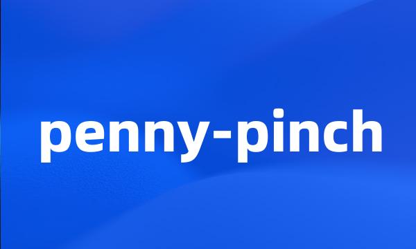 penny-pinch