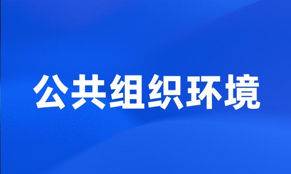 公共组织环境