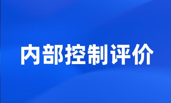 内部控制评价