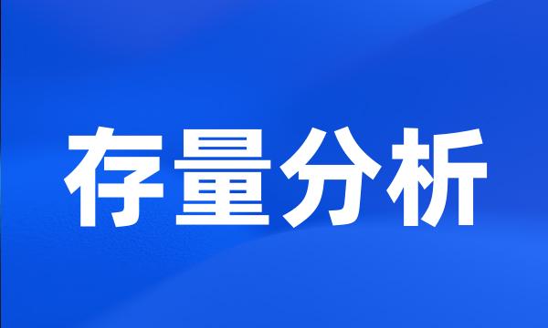 存量分析