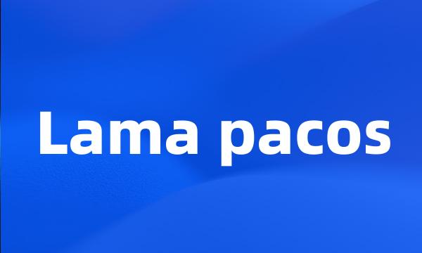 Lama pacos