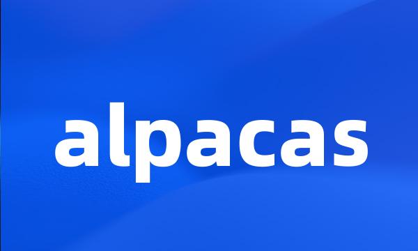 alpacas