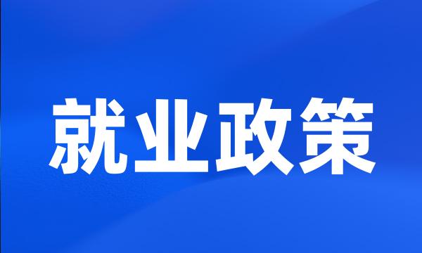 就业政策