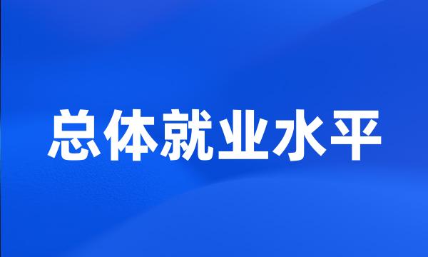 总体就业水平