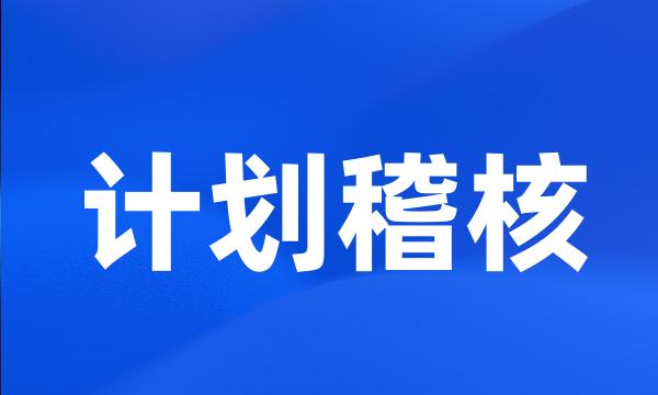 计划稽核