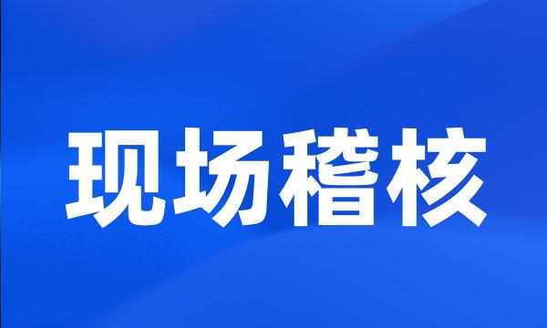 现场稽核