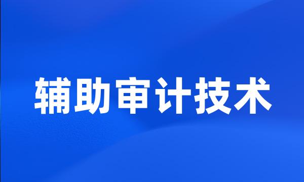 辅助审计技术