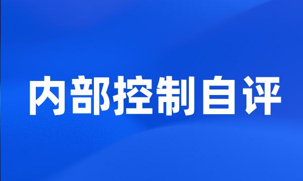 内部控制自评