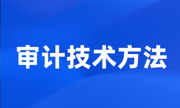 审计技术方法