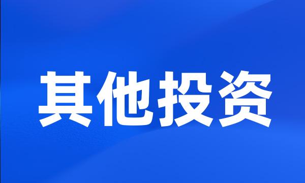 其他投资